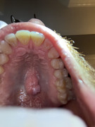IMG-1170