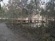 2022 (Jun) - Central (Nth) Qld Solo Trip(web) (134)