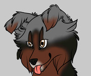 Credits goes to KiraTheDragonWolf on DA