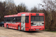 IMG-1556