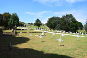 DSC-0013