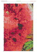 1192789-crosti-ru-color-15