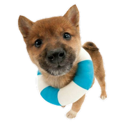 tumblr_bda093865c946a0cb3d85b49005d5269_41e89046_400