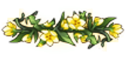 Divider-107x50