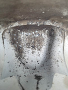 355187628_2041117426232927_2890124785870703923_n