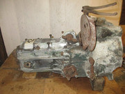 IMG-6454.jpg