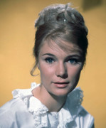 Yvette-Mimieux-c43