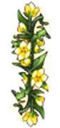 Divider-107x50-(2)