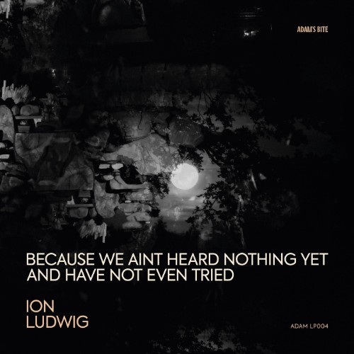 Ion Ludwig - Because We Ain't Heard Nothing yet and Have Not Even Tried (2026)