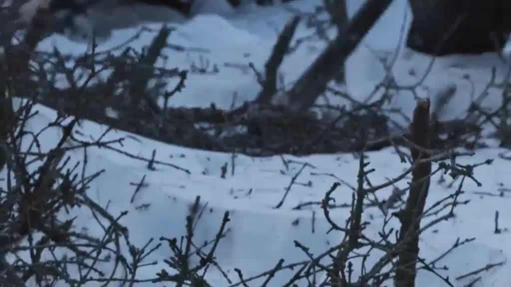 [Image: oynpx5s7e66b.jpg]