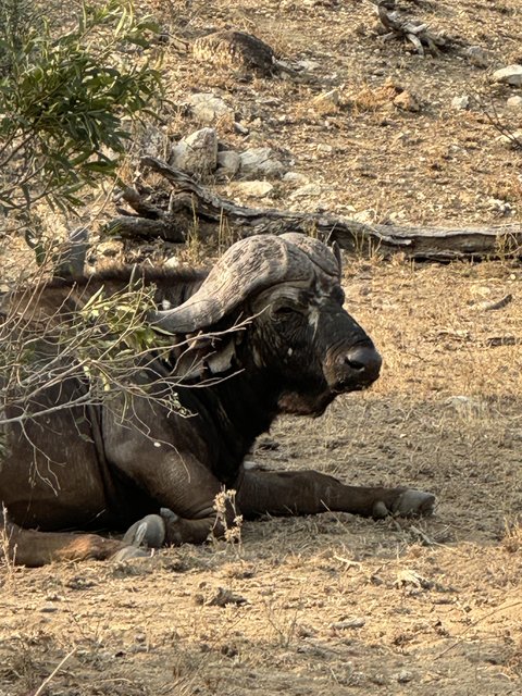 [Linked Image from i.postimg.cc]