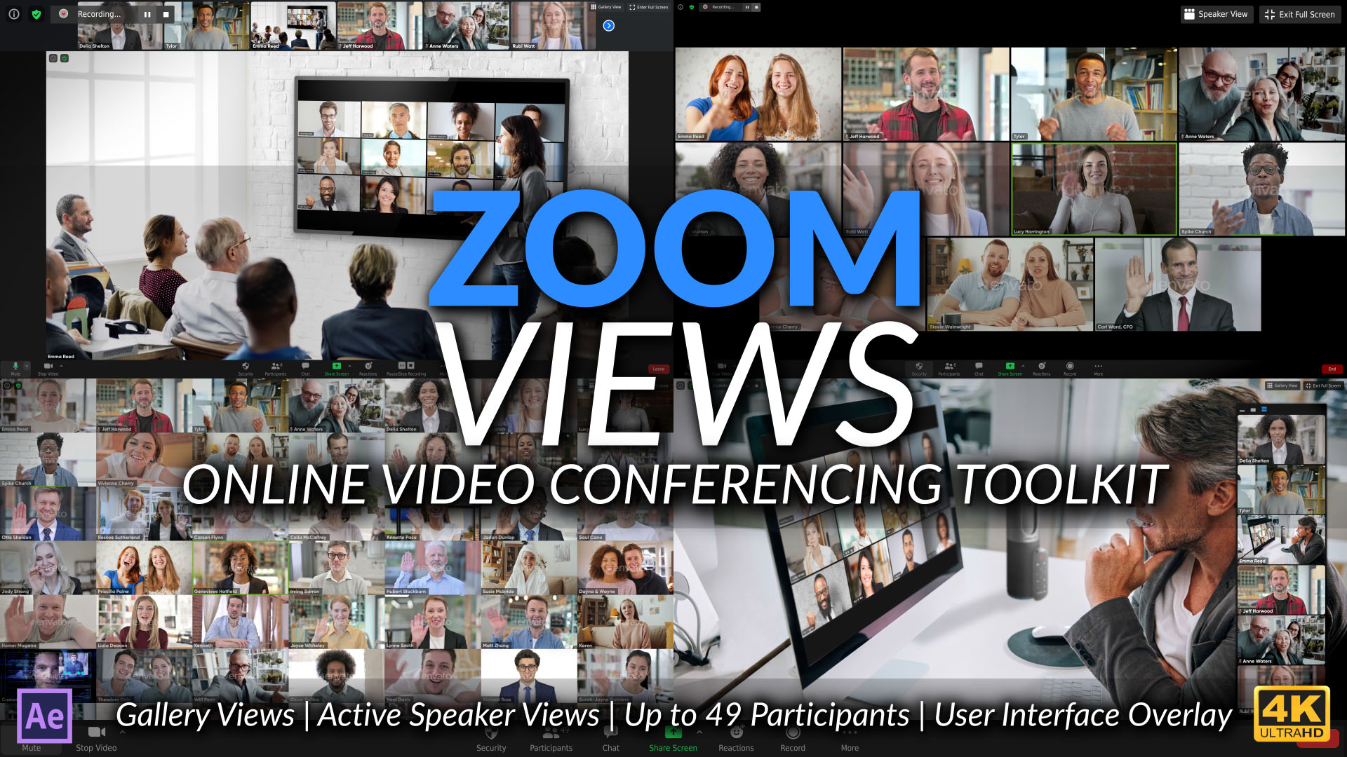 Zoom Views: Online Video Conference Toolkit - 6