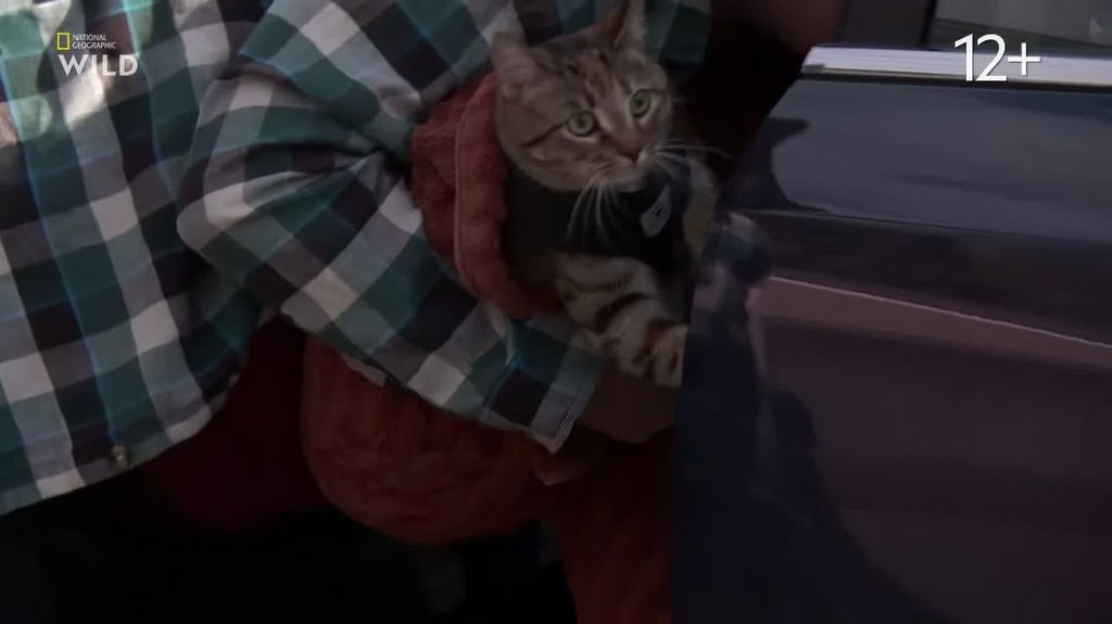 [Image: 49o5adlkpf4x.jpg]