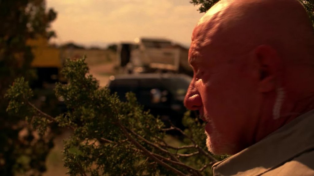 [Image: iilh63j5iep2.jpg]