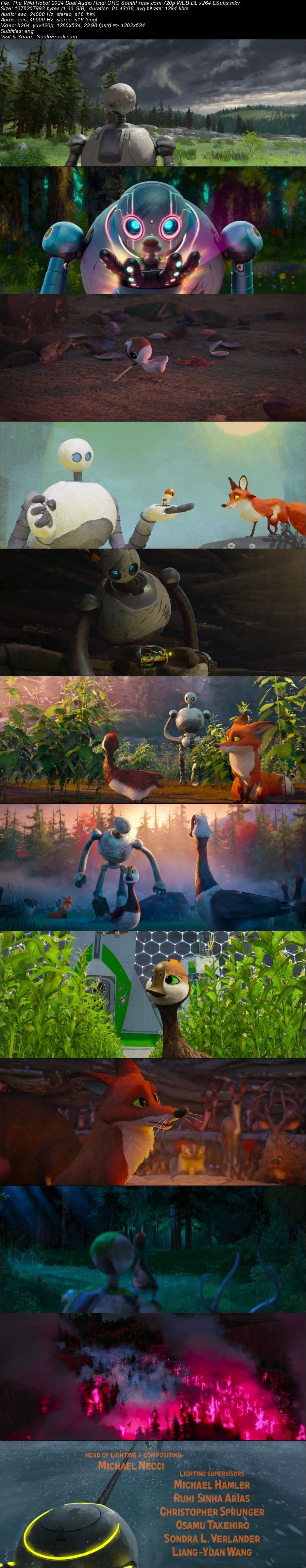 The Wild Robot 2024 Dual Audio Hindi ORG South Freak com 720p WEB DL x264 ESubs - hdhubflix, hubflix, hubflix hdmovieshub