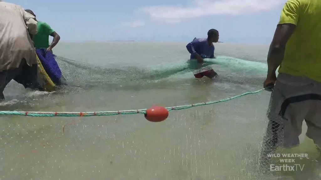 [Image: j188ysndbgq5.jpg]