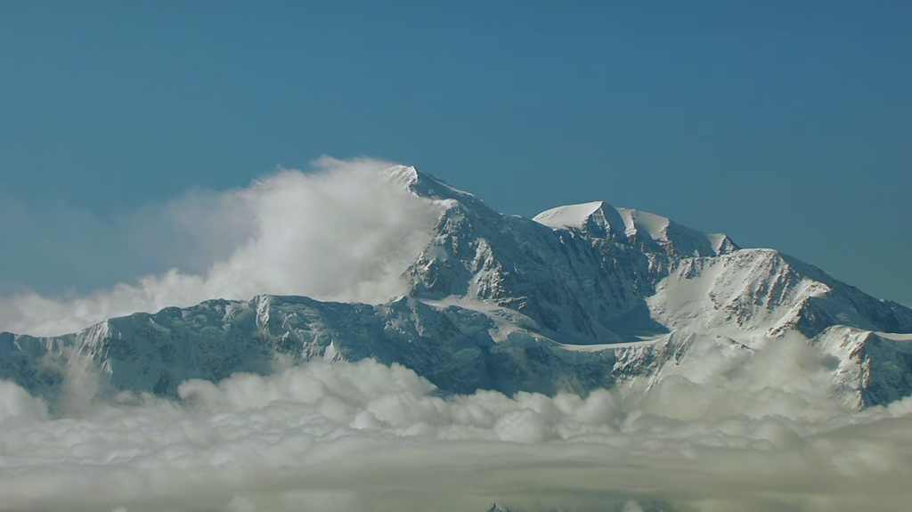 [Image: zxeq3n0mr6z0.png]