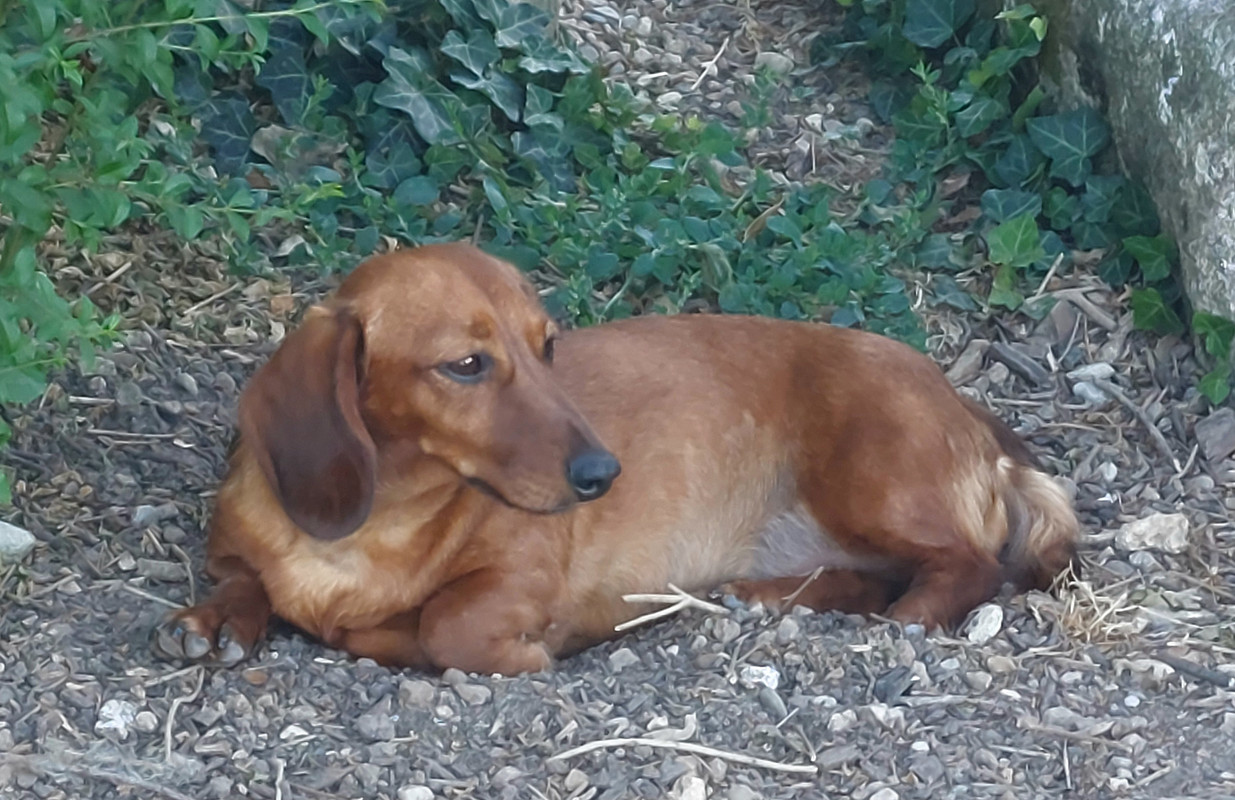 [Image: 20250711-201404.jpg]