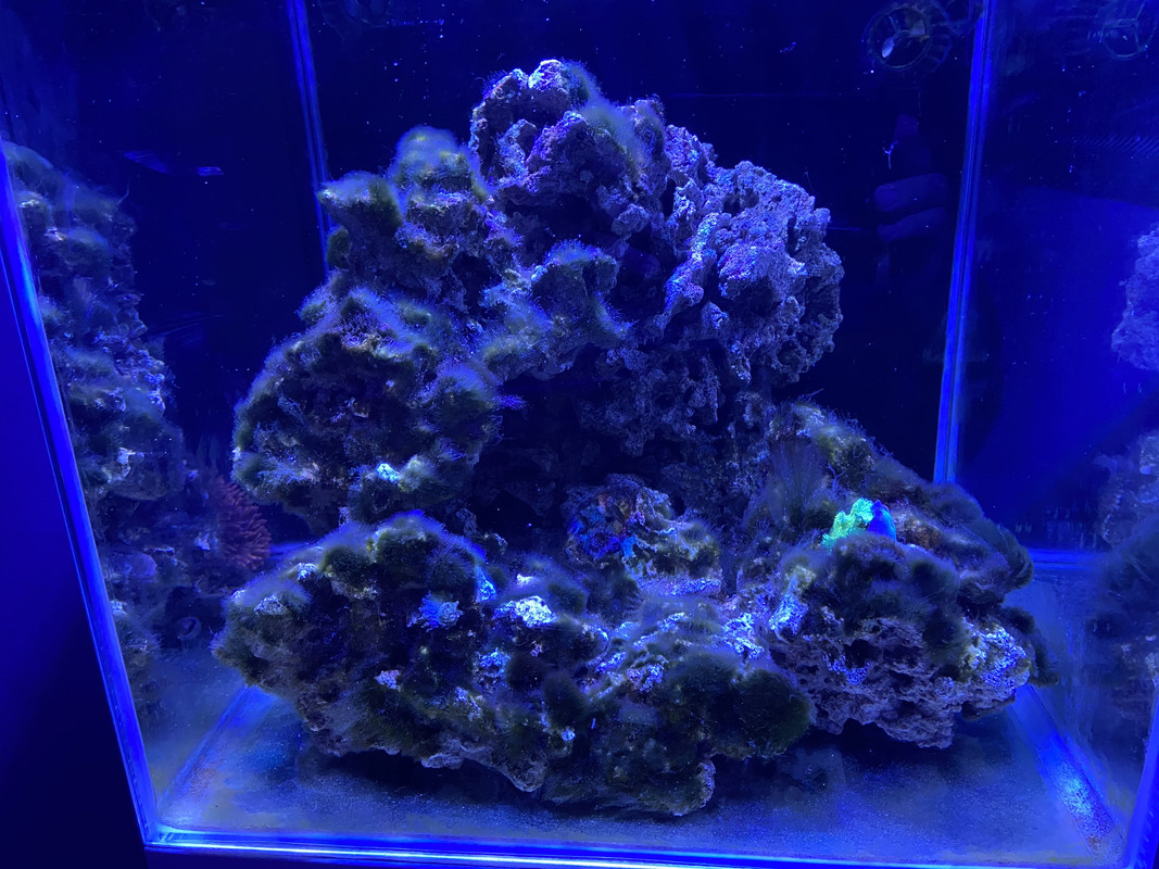 72EC7205-4FAA-4C91-9C38-2AE7B5DDEEDF