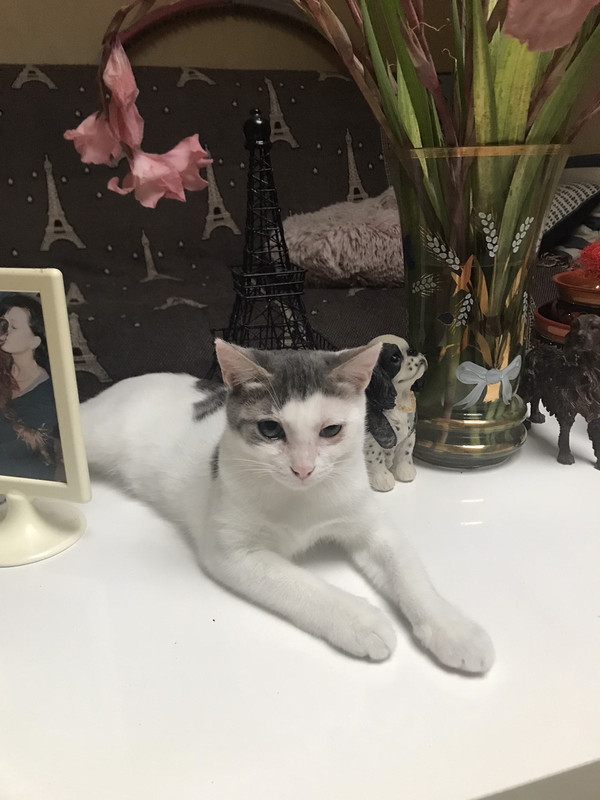 D2DCDBCC-2775-4755-97F0-B03D920732AE