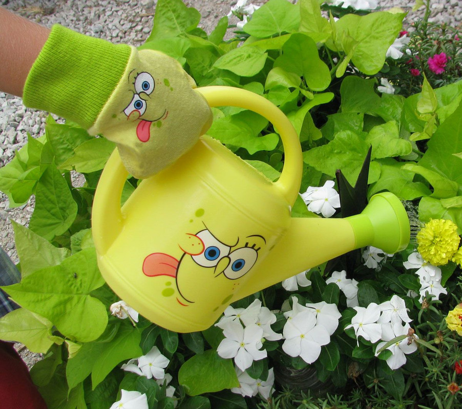 Pinterest_Download (48)