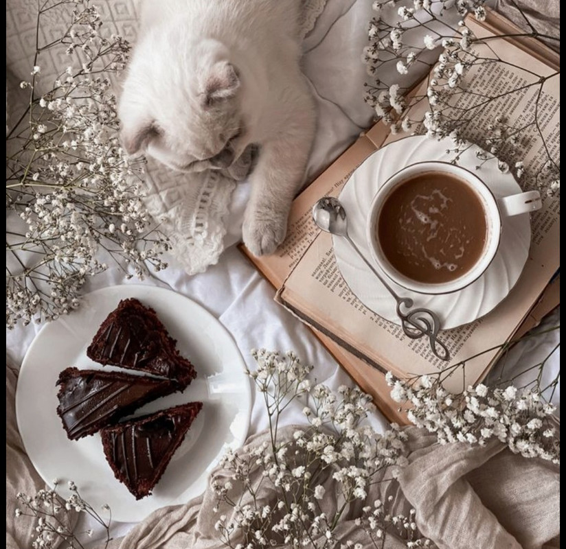 Screenshot_20251002_195200_Pinterest