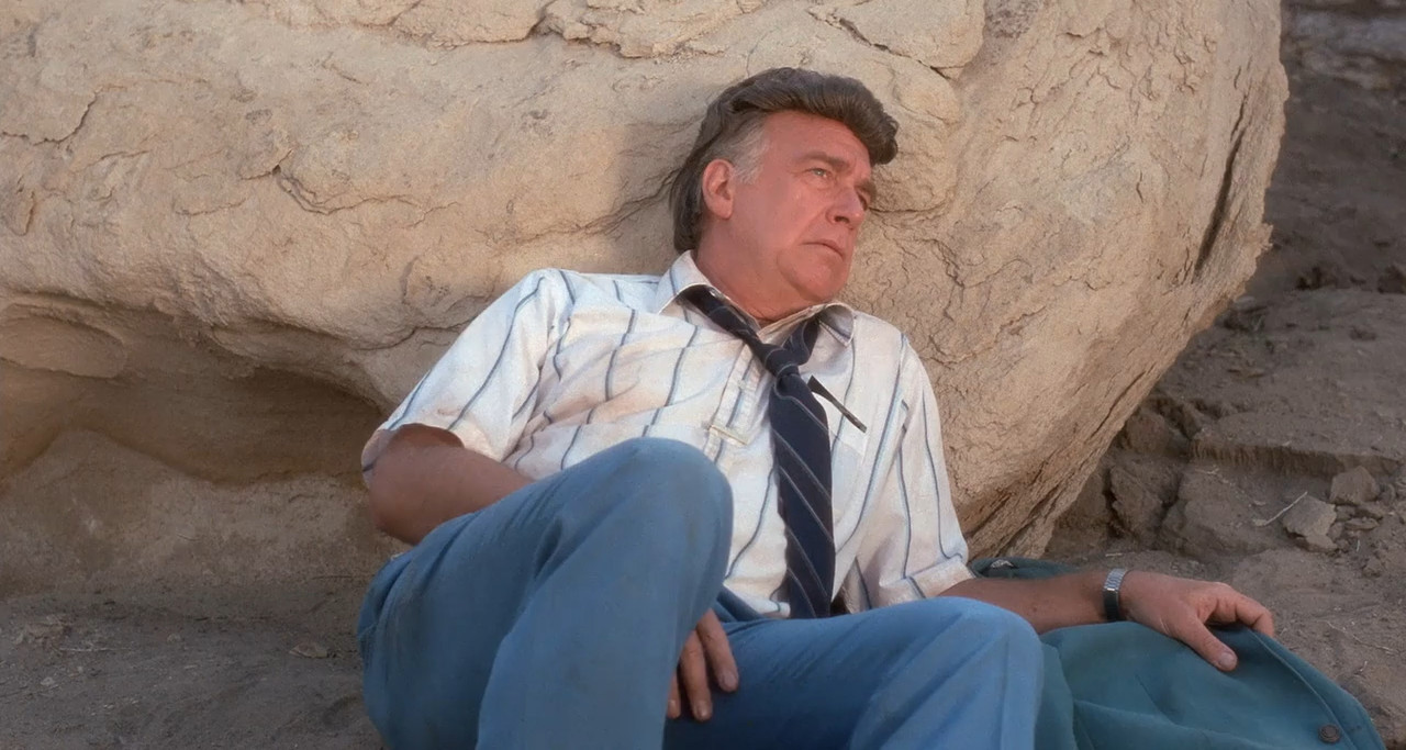Rubin & Ed 1991 BluRay [Hindi + Tamil + Telugu + English] 480p 720p Screenshot