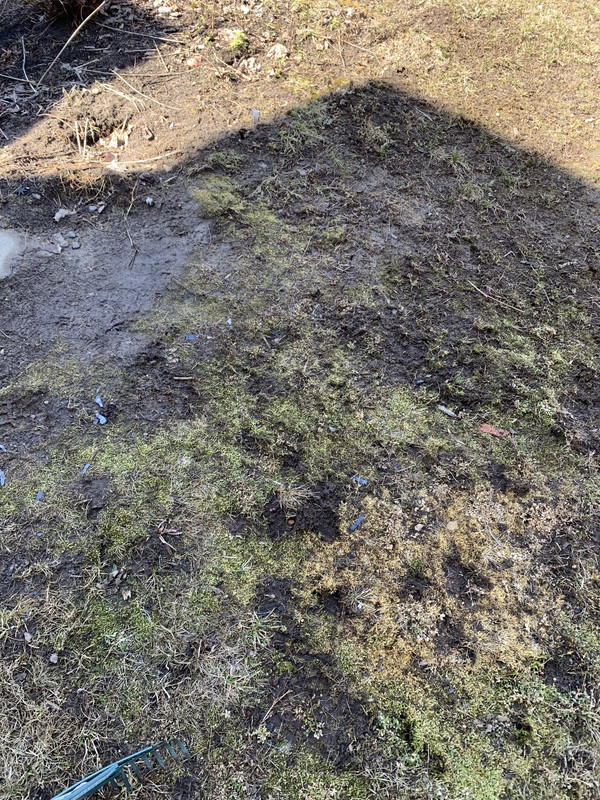 74A80333-1E81-4DB8-BD64-ED2DAE36E33C