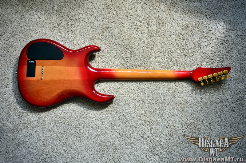 Carvin_DC127_10-amber-up_025
