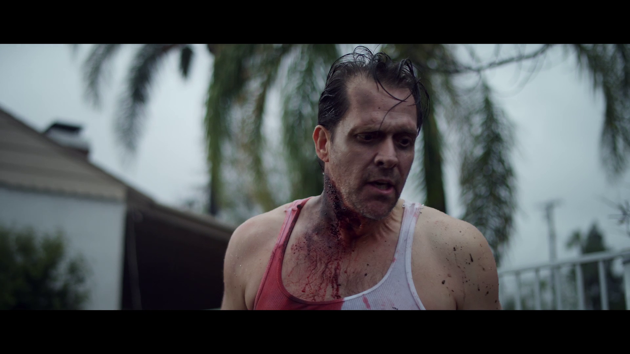 vlcsnap-2024-01-25-04h30m05s256