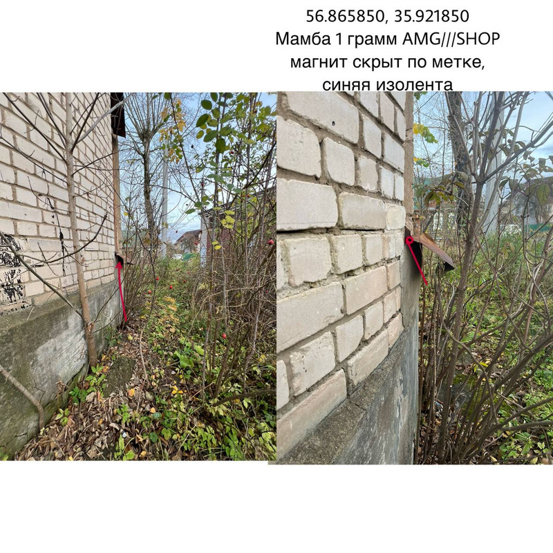 IMG_20251018_184321_954