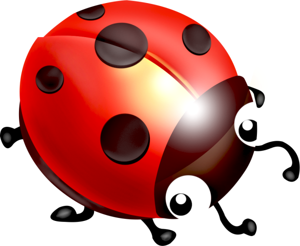 Beetle dance23
