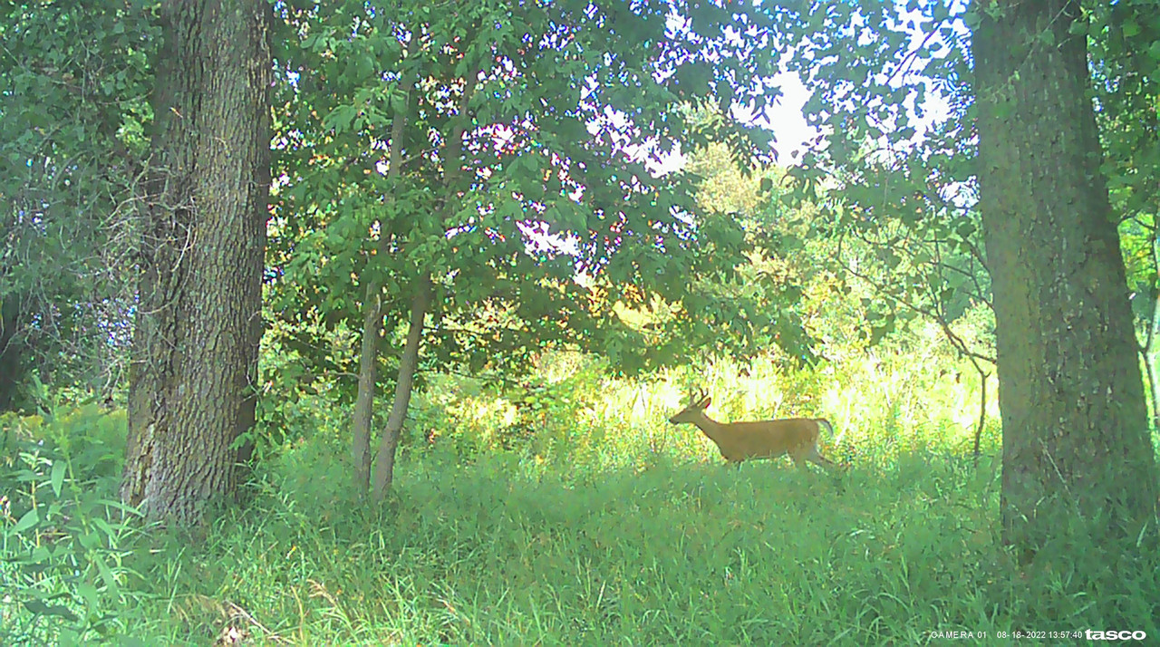 FD389D12-0C32-4E69-9B2C-5D8B78A34429