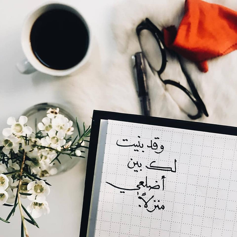 ���� ���� ������ �� ���� ������