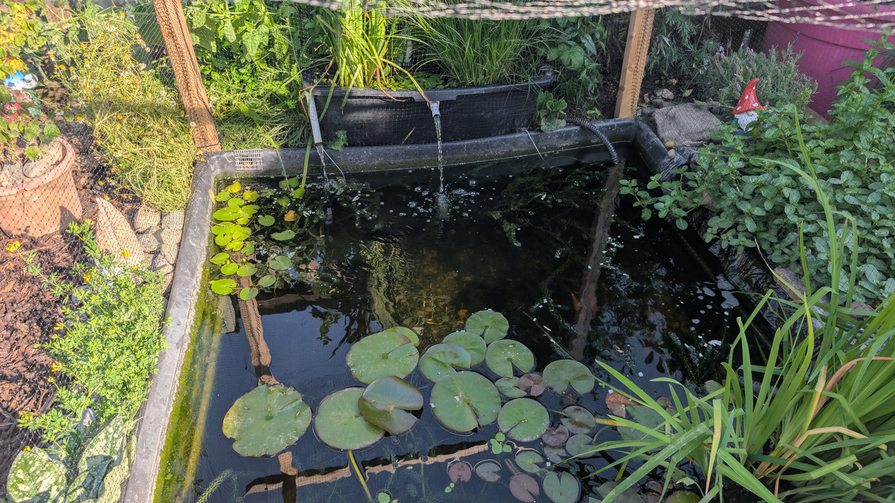 PXL_20250707_171004138