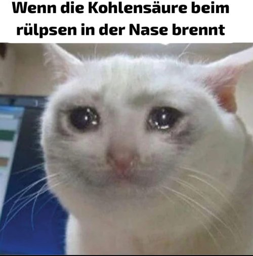 44th.jpg