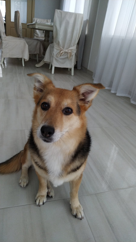 изображение_viber_2023-03-18_22-08-39-853