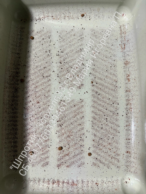 zafD3mlG-D-psVYFiGrMlkyRJjtke5v2SctCRa6EoyISE6EP4sQF2Jro15nkkEUC-JyzGK4nFydO_DNrv0mlmUFY_wm