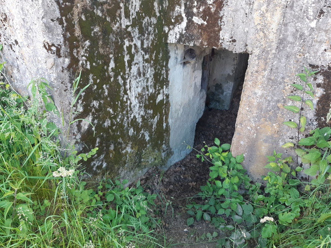 09.12 b - 20220616_180601 (PiTT)