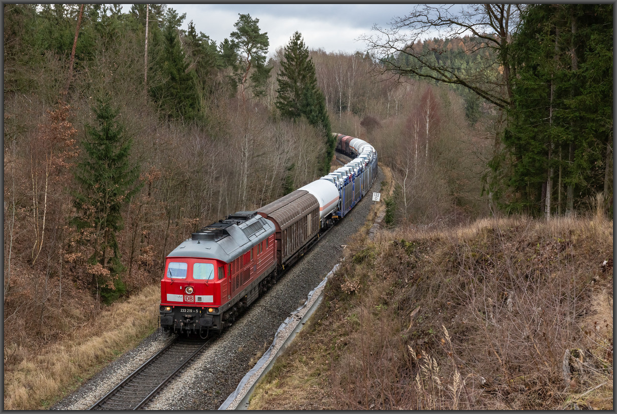 20251207 M7A7183