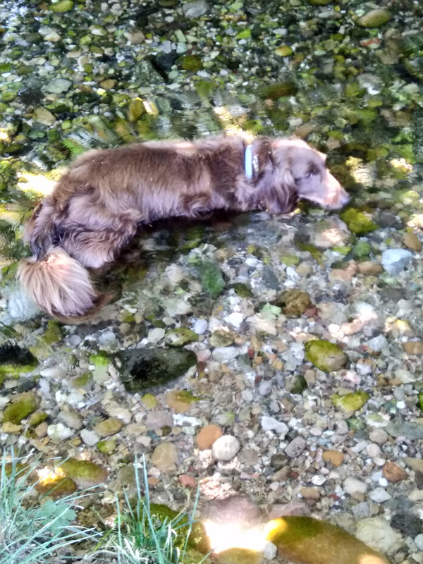 [Image: IMG-20220713-121319.jpg]