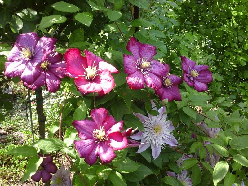20190527_151831