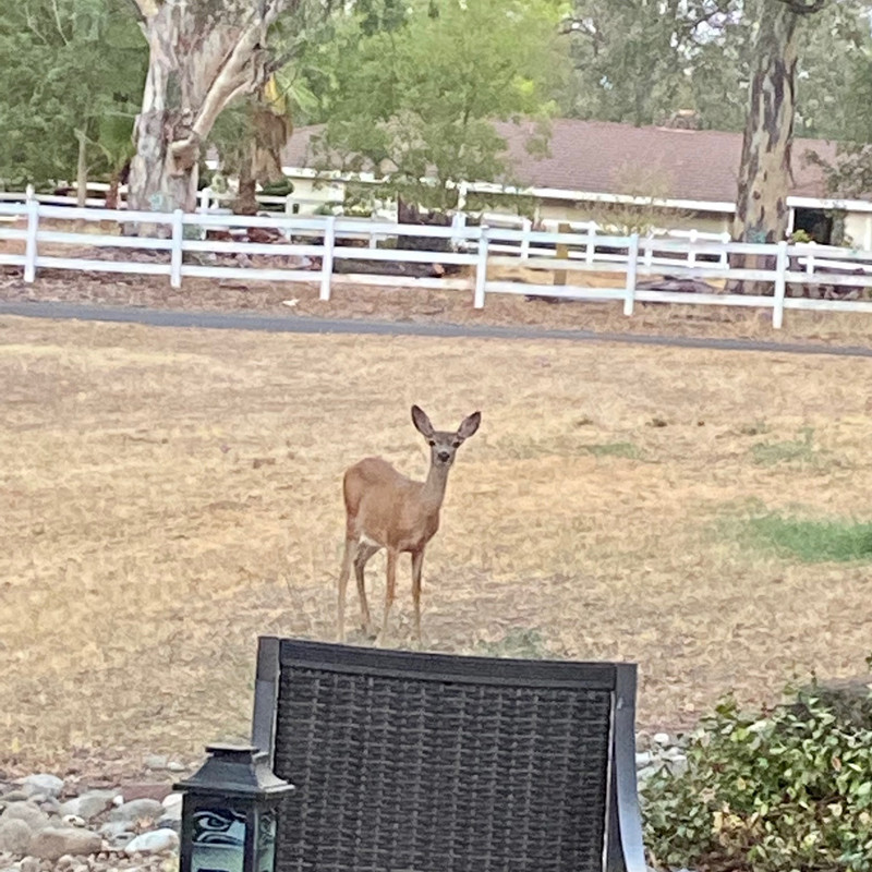 324E6A5B-7DDA-423A-AE5C-524CBE661CAD