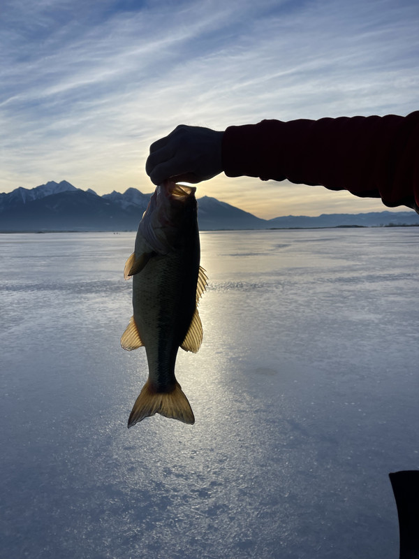 FEA04212-95B2-43F8-AF7C-3E4B5F758A52