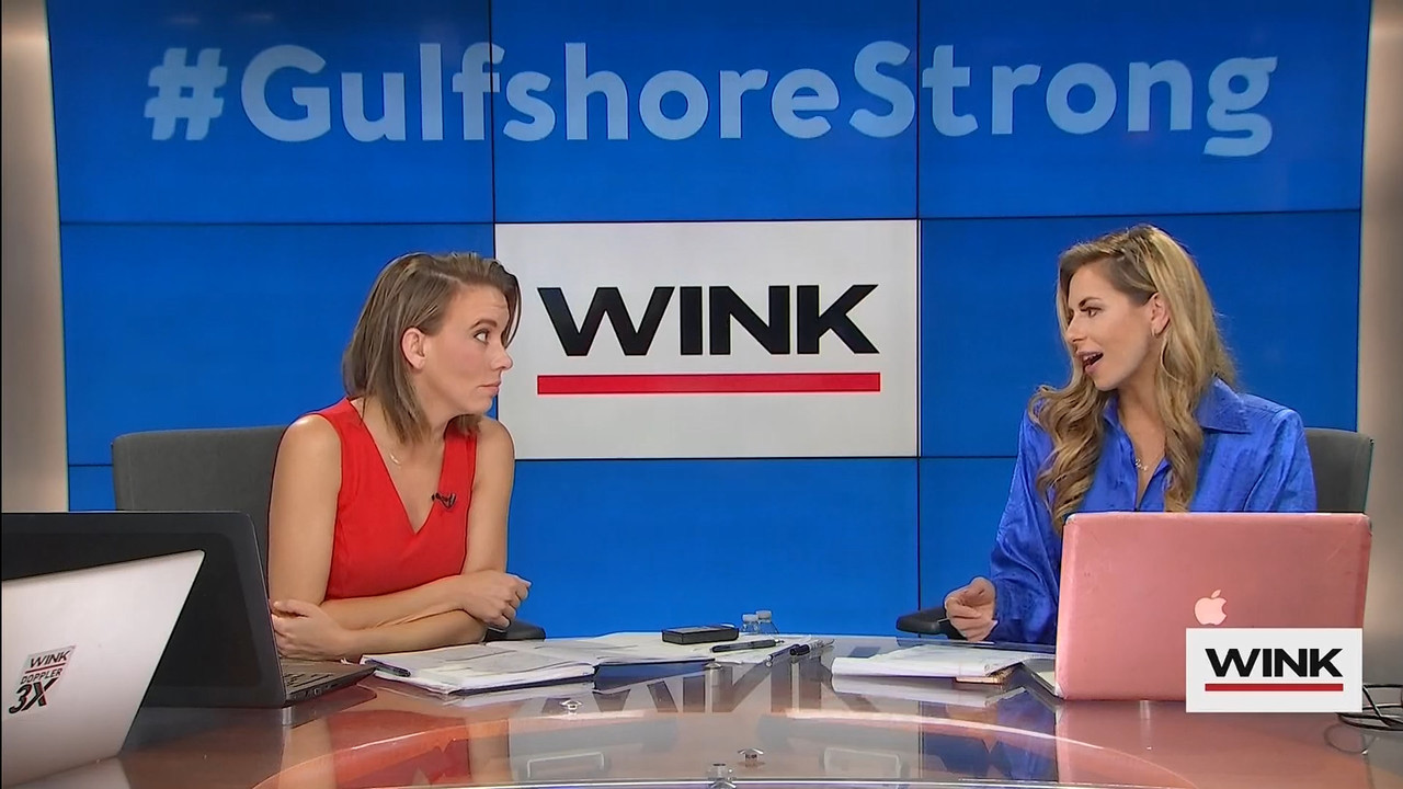 10.09 - 13.00.00 - WINK News at 8 00AM  ᴺᵉʷ..ts_snapshot_00.37.49.208