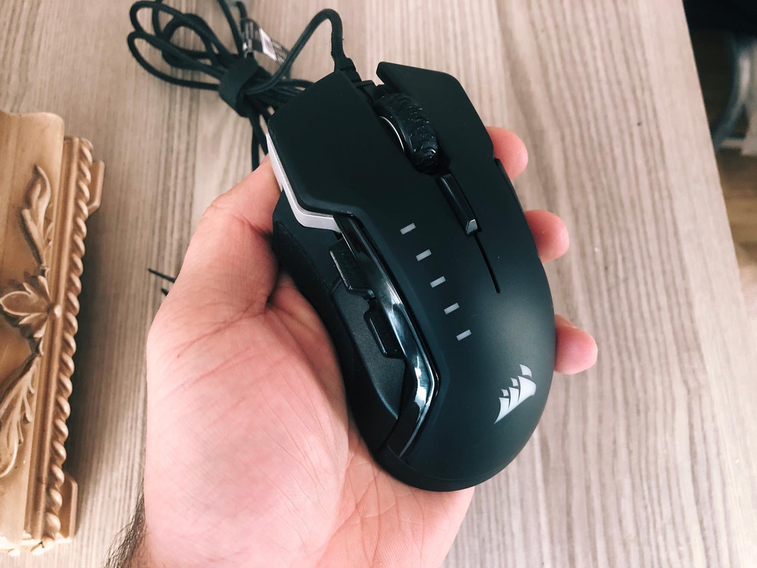 82477295-175556323548929-358069284573806