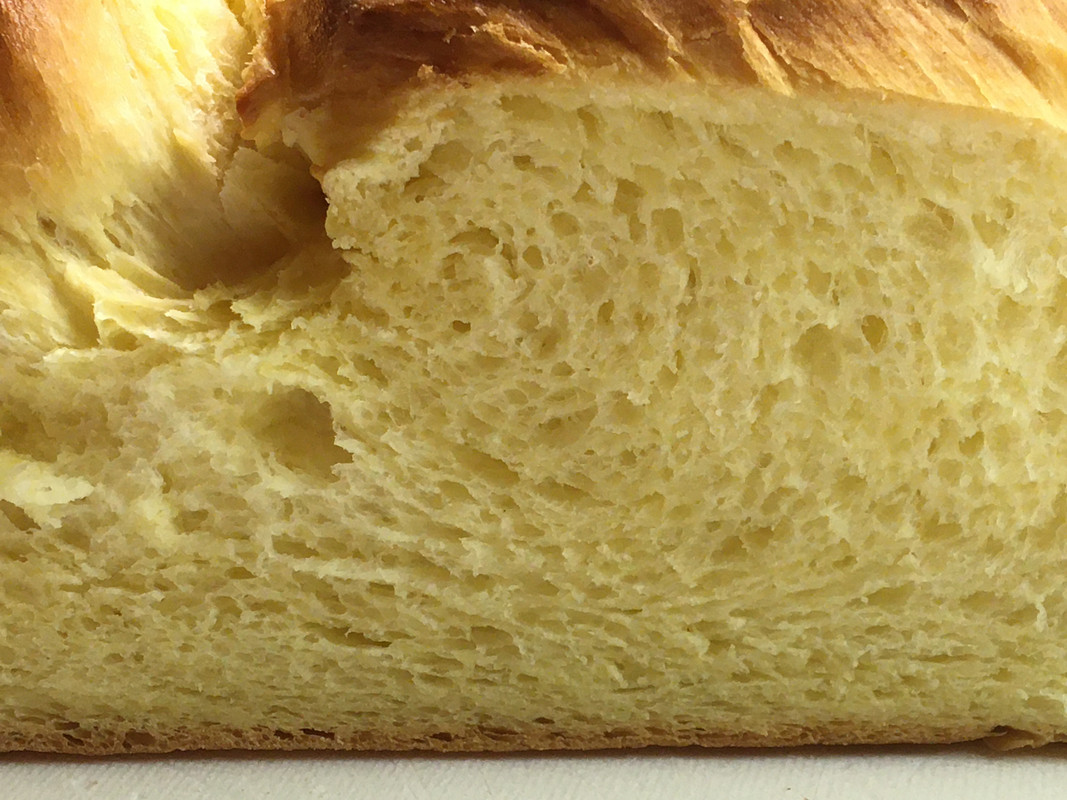 Kép