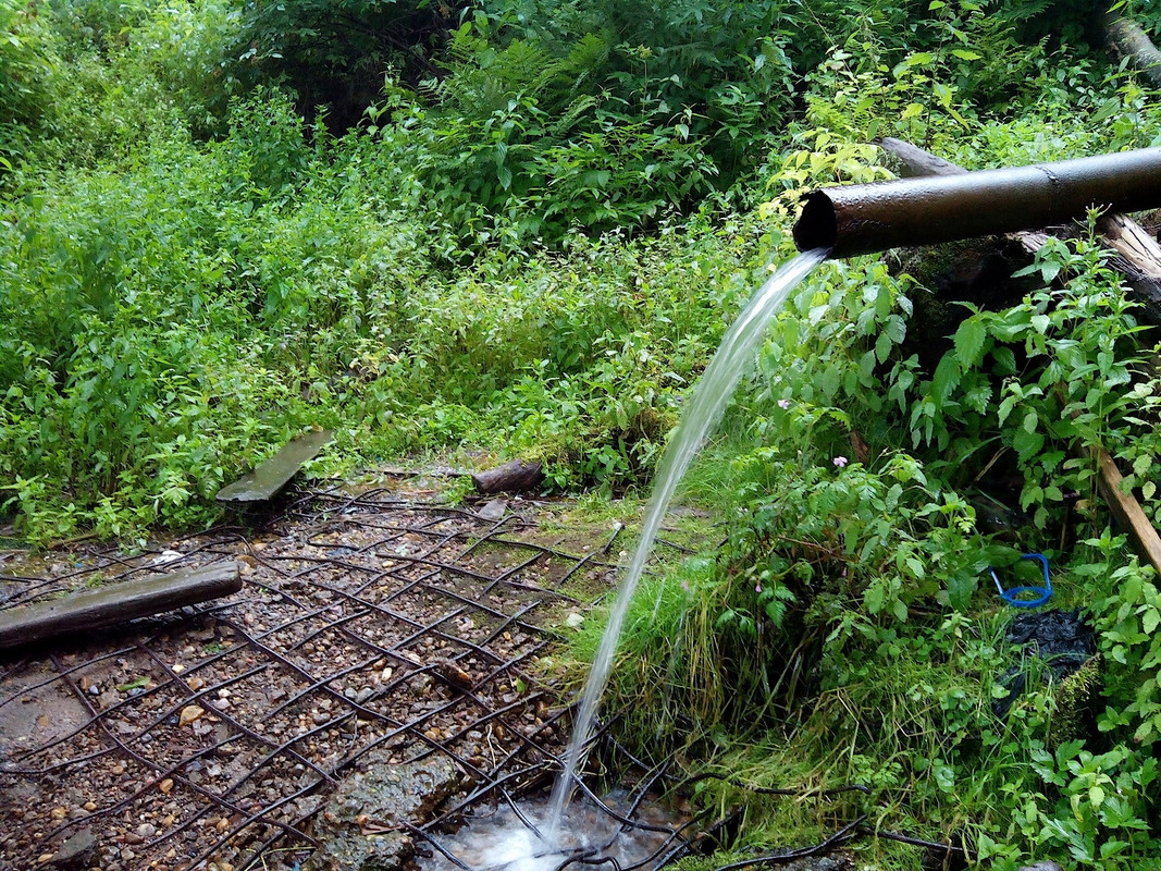 Грибалка 10-12.07.15 г 05