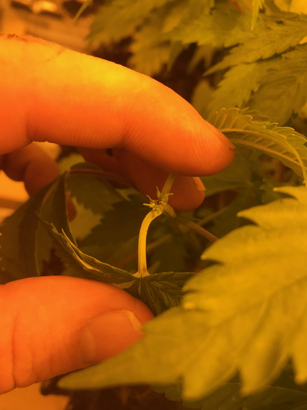 F5783AE5-B4F3-45E1-99D9-9178243D8DDB