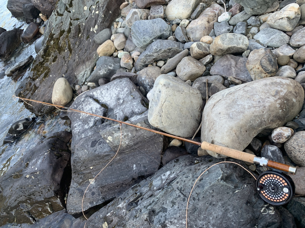 56E76E8E-DAE4-4286-AA4D-D21E0B5EB3A1